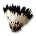 Feather headdress p1.png