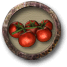 Zbieranie pomidorów