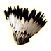 Feather headdress fine.png